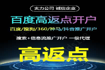 网络推广中的竞价广告：成功案例解析